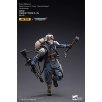 JOYTOY 暗源 1/18 JT2665 Astra Militarum Guardsman